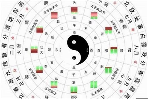 八字要怎麼看|八字新手教學 